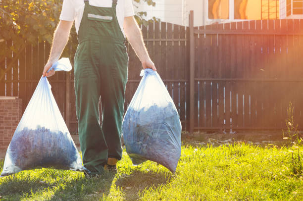Best Junk Hauling Services  in Bellwood, IL